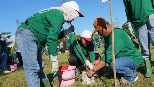 Aksi Tanam 1.000 Mangrove dan Cemara Udang di Pesisir Surabaya Perkuat Upaya Pelestarian Lingkungan