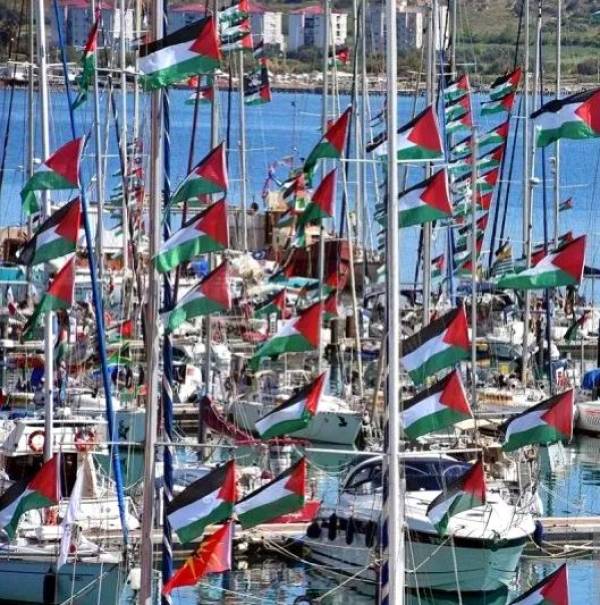 Wartawan dan Relawan Indonesia Peserta Flotilla Gaza Dilaporkan Diculik Israel