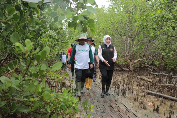 Hutan Mangrove Jatim Terluas di Pulau Jawa
