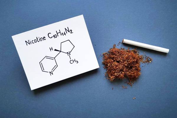 Pelaku Industri Tembakau Tolak Usulan Penurunan Batas Nikotin dan Tar, Dinilai Ancam Serapan Tembakau Lokal