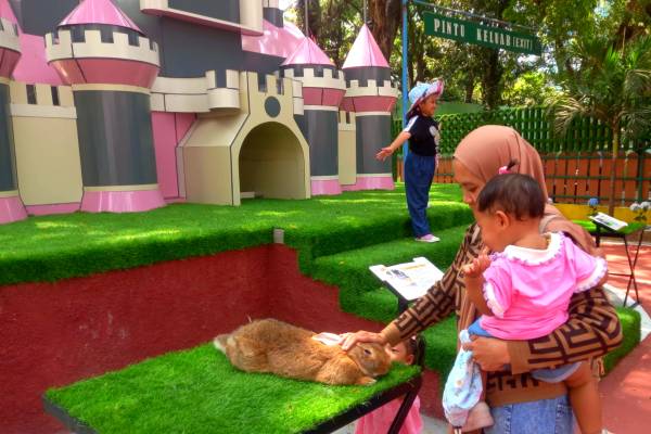 Rabbits in Wonderland Hadir di KBS Surabaya, Edukatif, Lucu, dan Instagrammable