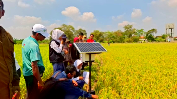 Dua Siswi SMP di Gresik Ciptakan TEKTIKUS, Alat Pengusir Hama Sawah Berbasis Panel Surya