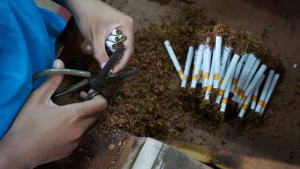 Bea Cukai Gresik Terbitkan Izin untuk CV Tiancah Jaya, Dorong Industri Rokok Legal dan Kompetitif