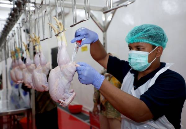 Pemkot Surabaya Tegas! Usaha Tanpa Izin di Kawasan Permukiman Siap Ditutup