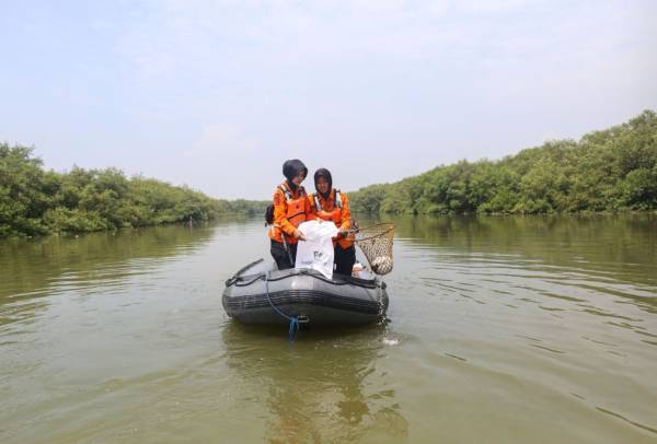 Sampah Plastik Mangrove Disulap Jadi Bahan Bakar, BRIDA Surabaya Kembangkan Teknologi Pirolisis