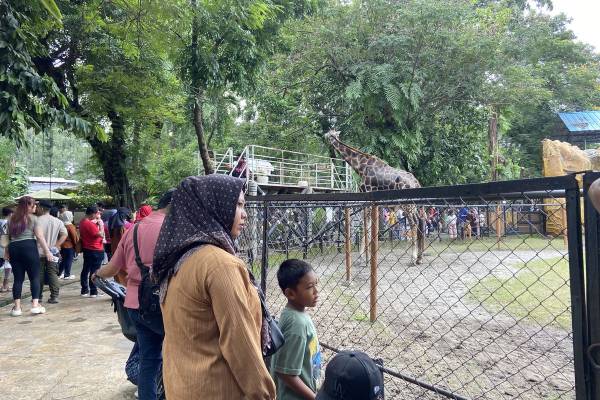 Lonjakan Wisata Nataru, KBS Catat 15 Ribu Pengunjung Sehari