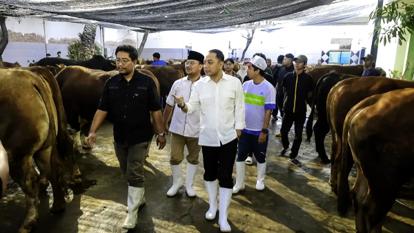 Lapak Hewan Kurban di Surabaya Diawasi Ketat, Penjual Wajib Sediakan Area Isolasi