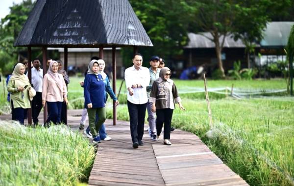 Surabaya Kembangkan Hutan Kota Jeruk Jadi Destinasi Wisata Edukasi Pertanian