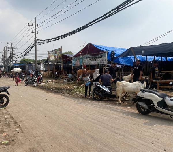 Jelang Iduladha, Bazar Hewan Kurban di Karang Asem PLN Surabaya Ramai Dipadati Warga