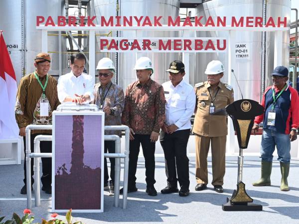 Jokowi Resmikan Pabrik Percontohan Minyak Makan Merah Pertama di Indonesia