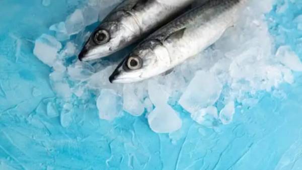 Jangan Selalu Pilih Segar, Ini 5 Jenis Ikan yang Justru Lebih Baik Dibeli Beku