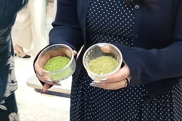Padukan Yogurt Artisan dan Matcha Asal Uji Kyoto, Hometown Rilis Gelato Varian Baru