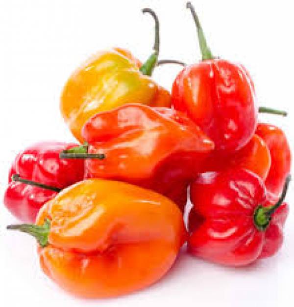 Pencinta Pedas Wajib Cicip 7 Jenis Cabe Ini