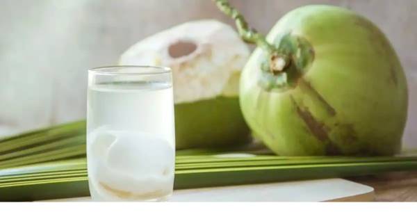 Intip Dampak Positif dan Risiko Air Kelapa Muda Bagi Kesehatan Ginjal