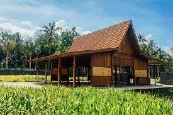Rumah Adat Suku Osing di Banyuwangi Jawa Timur