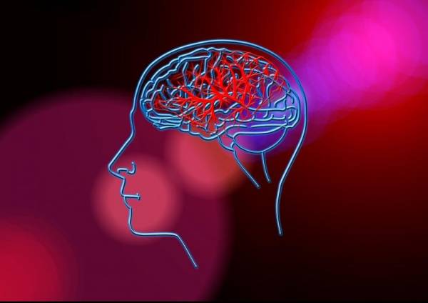 Riwayat Genetik hingga Gaya Hidup Jadi Faktor Risiko Stroke