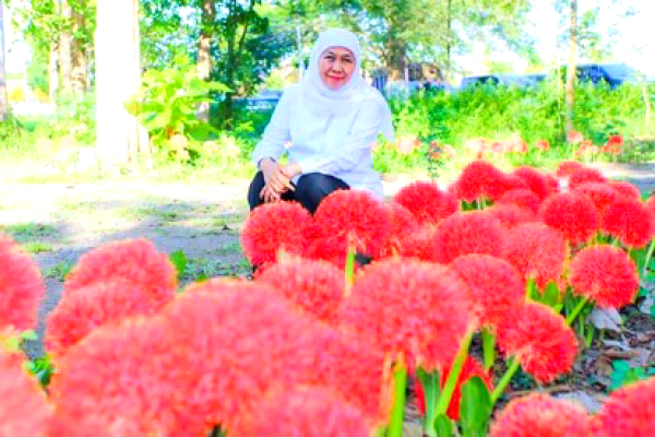 Khofifah Terpikat Pesona Bunga Desember, Flora Langka yang Mekar Indah di Bondowoso