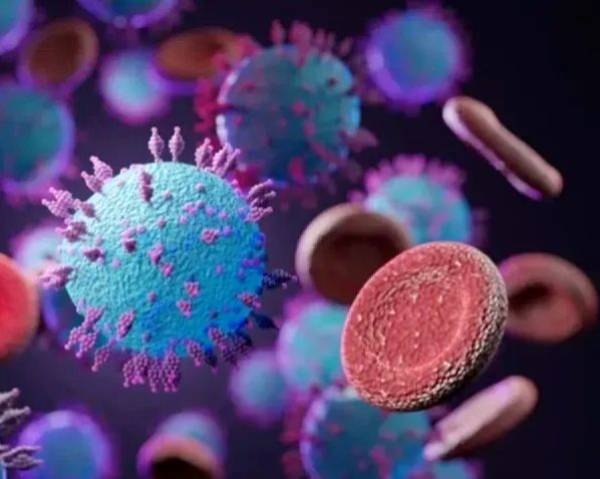 Hantavirus: Ancaman Sunyi di Balik Kota yang Padat dan Kumuh