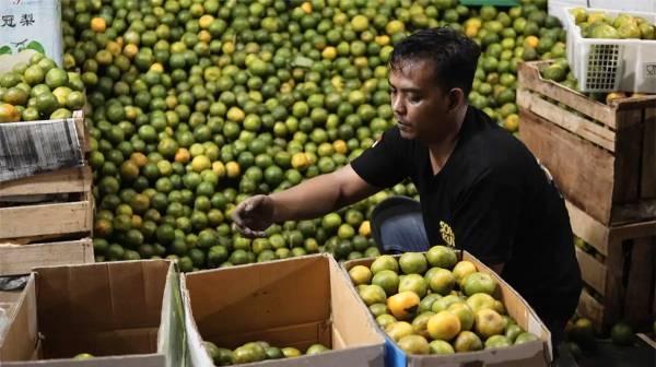 MBG Dorong Perputaran Ekonomi, Pedagang hingga Petani Ikut Terdongkrak