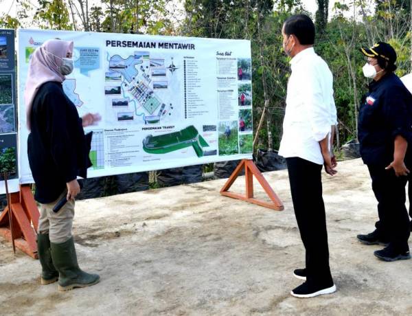 Jokowi Perkirakan Pembangunan IKN Nusantara Tuntas 15-20 Tahun