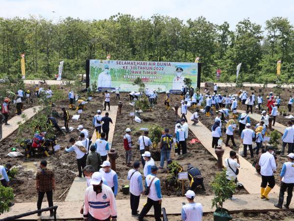 Peringati Hari Air Sedunia, Khofifah Ajak Tanam di Kawasan Hulu