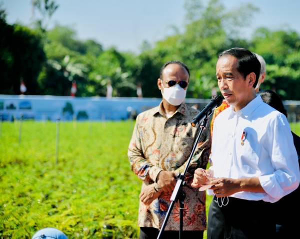 Jokowi Instruksikan Kemlu dan Dubes Bantu Kepulangan Jenazah Eril