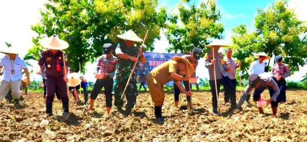Nurdin, Sosok di Balik Penggarapan 51 Hektare Lahan Tidur untuk Ketahanan Pangan Sampang