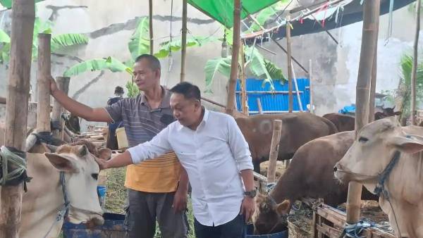 Anas Karno Minta Lapak Kurban di Surabaya Tetap Bersih, Kelurahan Diminta Aktif Mengawasi