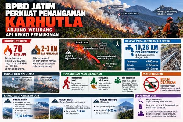 BPBD Jatim Perkuat Penanganan Karhutla, Api Arjuno-Welirang Dekati Permukiman