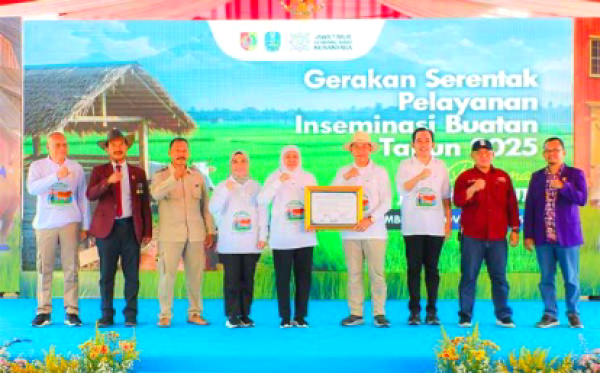 Jatim All Out Inseminasi Buatan, Khofifah Targetkan Swasembada Daging