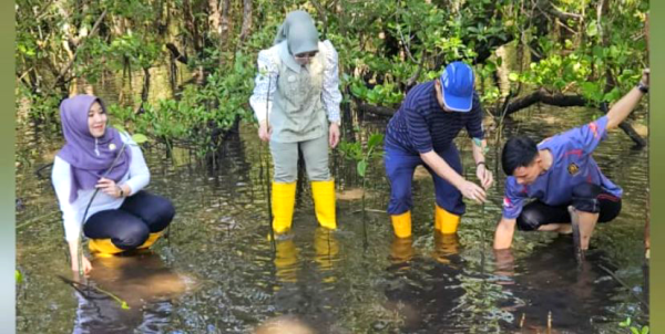 DPD RI Tanam Mangrove di Manado Bentuk Nyata Jaga Bumi dan Investasi Pahala