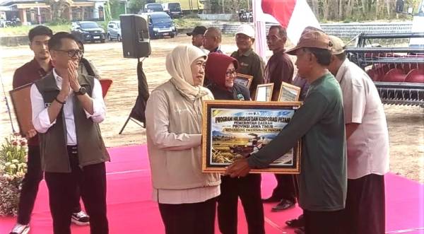 Naik 2,54 Persen, Produksi Padi Jawa Timur Diprediksi Mencapai 10,2 Juta Ton