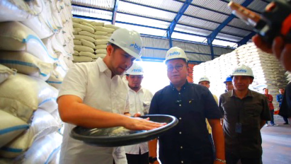 Kinerja Pengadaan Pangan Melesat, Serapan Gabah BULOG Jatim Capai 100 Persen