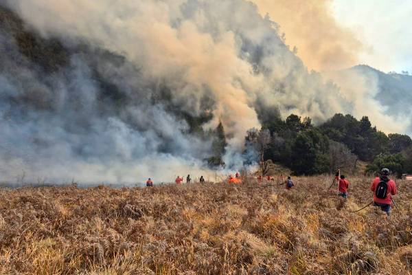 Disbudpar Jatim Dorong TNBTS Bebas Rokok untuk Cegah Kebakaran