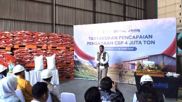 Serapan Cadangan Beras Pemerintah Tembus 4,13 Juta Ton per Oktober 2026