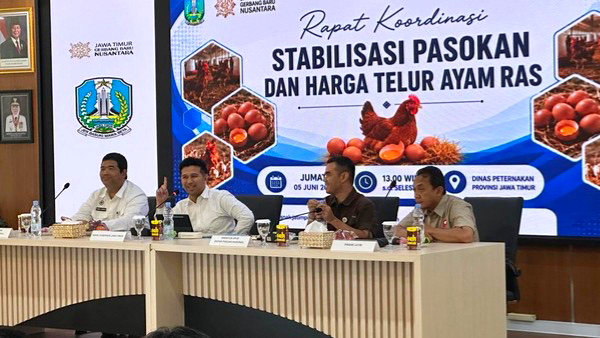 Begini Jurus Pemprov Jatim Hadapi Surplus Produksi dan Anjloknya Harga Telur
