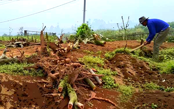 P-APBD 2025 Kota Batu Prioritaskan Ekonomi Rakyat, Petani dan UMKM Dapat Angin Segar