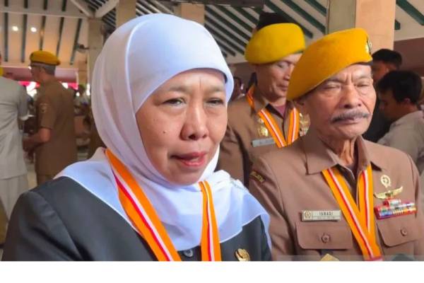 Khofifah Percepat Penanganan Hotspot Karhutla di Bromo