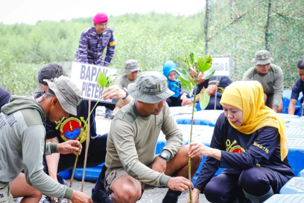 Hijaukan Pesisir Kenjeran, Khofifah–Pasmar 2 Turun Tangan Tanam 1.200 Mangrove