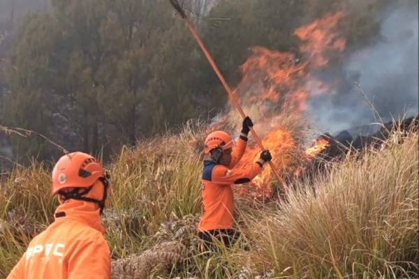 Terjebak Angin Kencang dan Asap Pekat, Empat Orang Meninggal dalam Karhutla Bromo
