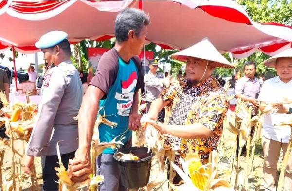 Panen Raya Jagung di Bojonegoro, Presiden Prabowo Targetkan 2026 Bebas Impor