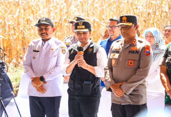 Jatim Mantap Jadi Lumbung Jagung Nasional Emil Tegaskan Produksi Harus Terus Naik