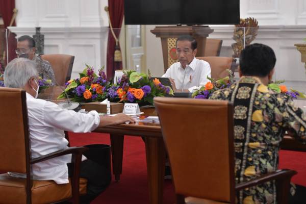 Jokowi Minta Pengembangan Lumbung Pangan Dimaksimalkan