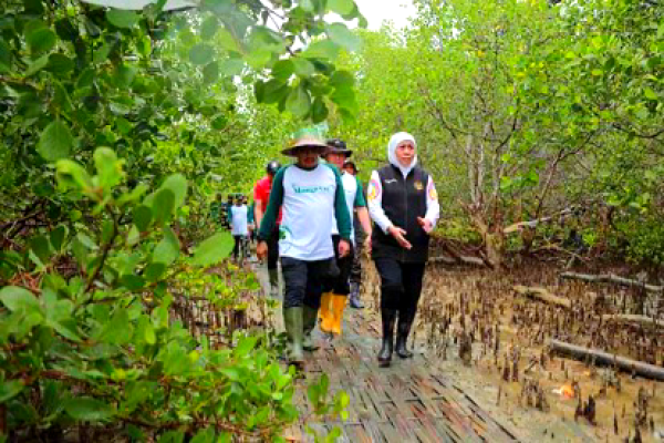 Raperda Kehutanan Baru Gantikan Tiga Perda Usang, Khofifah Pastikan Pengelolaan Hutan Lebih Efektif dan Berkelanjutan