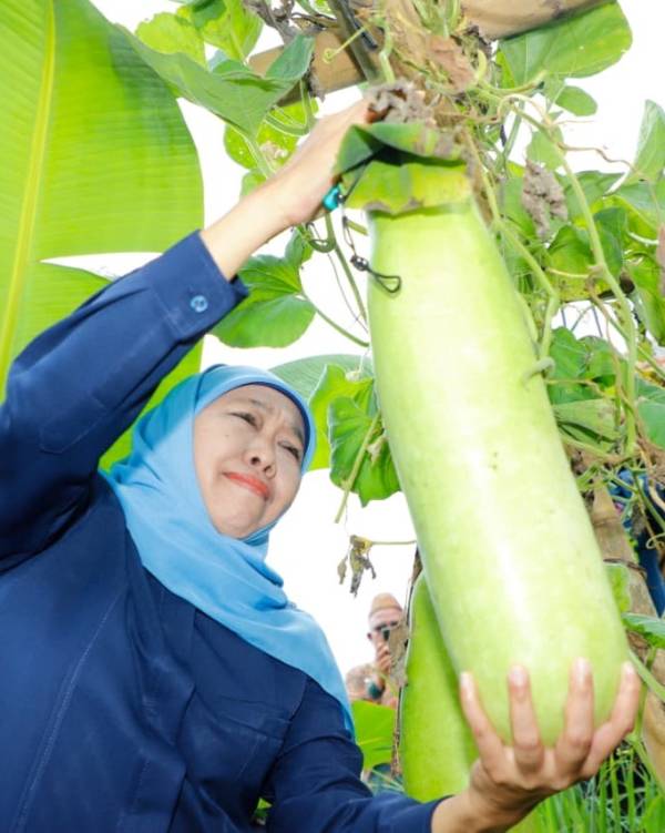 Khofifah Dinilai Jadi Kunci Sukses Program Koperasi Merah Putih di Jatim