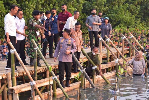 Presiden Jokowi Apresiasi Penanaman Serentak untuk Rehabilitasi Hutan Mangrove di Tanah Air