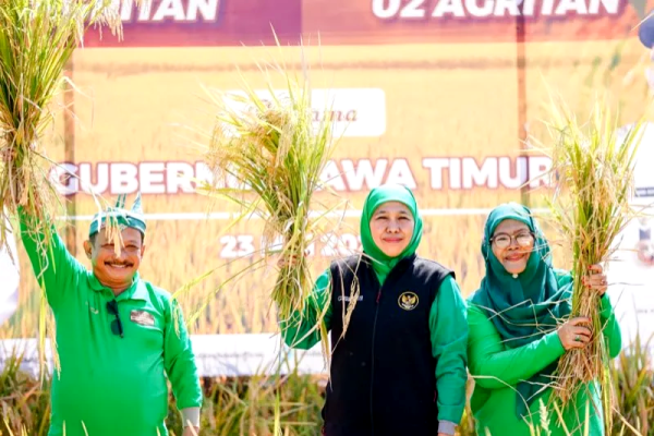 Khofifah Minta Kepala Daerah Waspada Kemarau 2026, Produksi Pertanian Jangan Sampai Turun