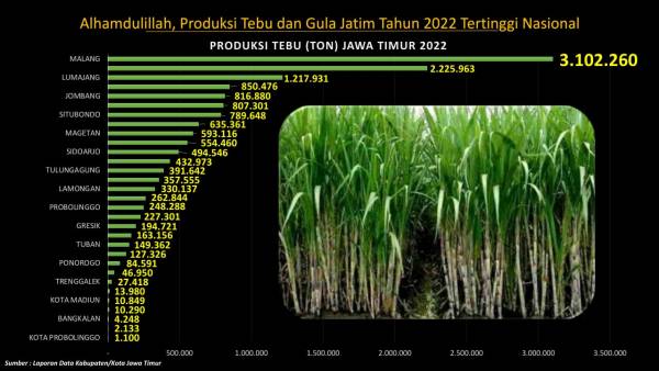 Produksi Gula dan Tebu Jatim Sumbang 49,55 % Nasional
