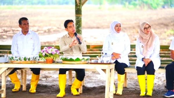 Jatim Siap Jadi Motor Swasembada Gula Nasional Khofifah Dampingi Wapres Gibran Panen Tebu