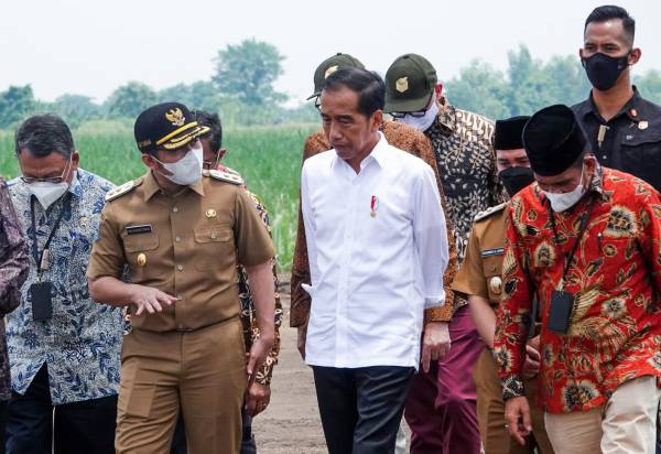 Dampingi Jokowi Tinjau Kebun Tebu,  Emil Yakinkan Jatim Basis Pabrik Gula dan Petani Tebu